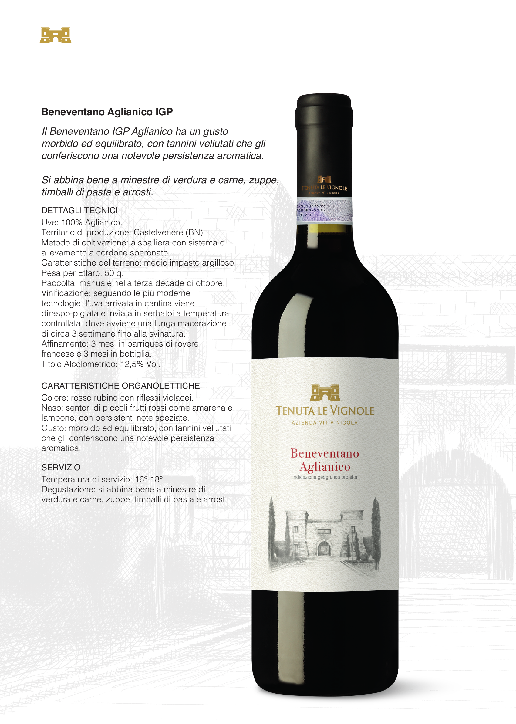 AGLIANICO CAMPANIA IGP